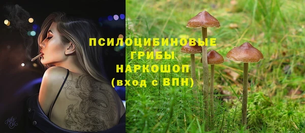 соль курить ск Иннополис