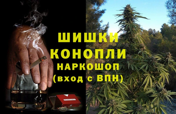 бутират Инта