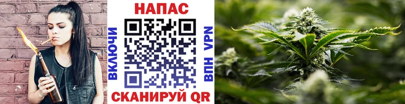 Бошки Шишки план  Купить  Иланский 